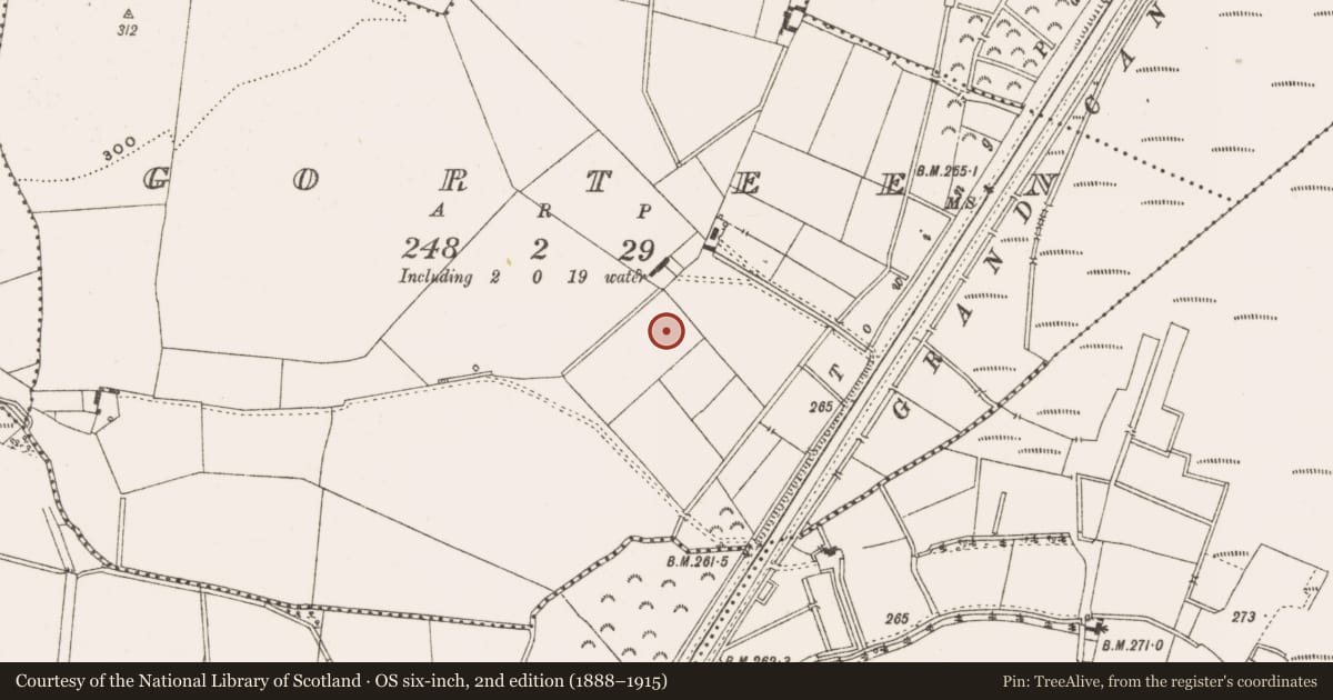 Ordnance Survey six-inch map, 2nd edition (1888–1915) covering the location of Burnt spread, Gorteen, County Offaly, with a pin at the register's coordinates