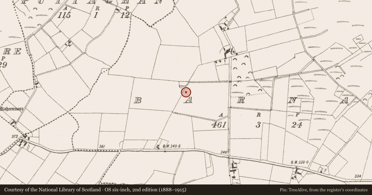 Ordnance Survey six-inch map, 2nd edition (1888–1915) covering the location of Enclosure, Barnan, County Offaly, with a pin at the register's coordinates