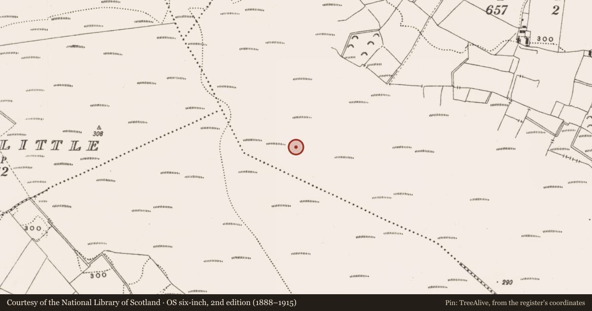 Ordnance Survey six-inch map, 2nd edition (1888–1915) covering the location of Structure - peatland, Barnaboy, County Offaly, with a pin at the register's coordinates