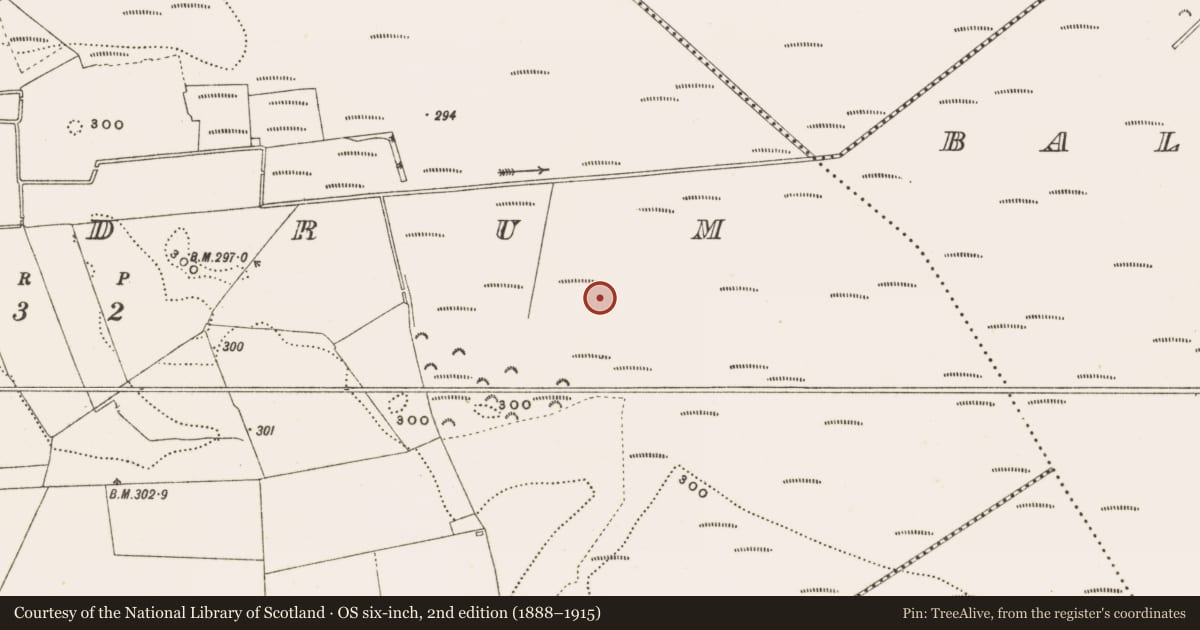 Ordnance Survey six-inch map, 2nd edition (1888–1915) covering the location of Structure - peatland, Rathdrum, County Offaly, with a pin at the register's coordinates