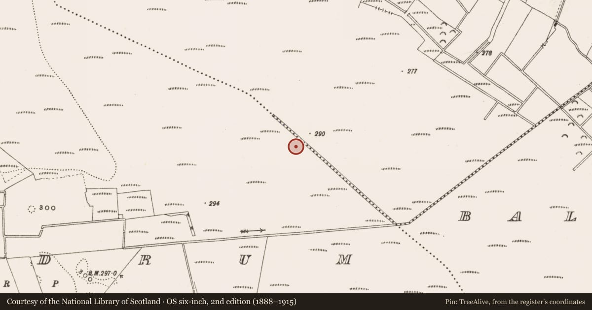 Ordnance Survey six-inch map, 2nd edition (1888–1915) covering the location of Structure - peatland, Rathdrum, County Offaly, with a pin at the register's coordinates