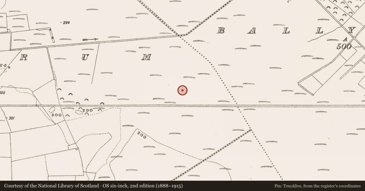 Ordnance Survey six-inch map, 2nd edition (1888–1915) covering the location of Structure - peatland, Rathdrum, County Offaly, with a pin at the register's coordinates