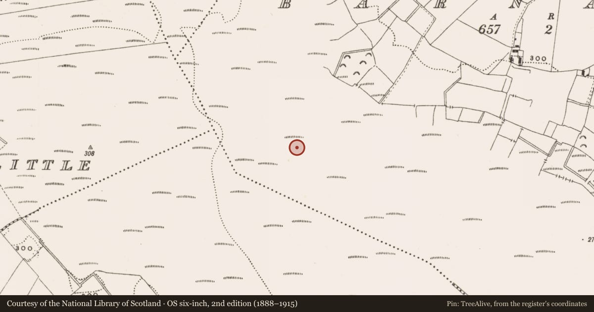 Ordnance Survey six-inch map, 2nd edition (1888–1915) covering the location of Structure - peatland, Barnaboy, County Offaly, with a pin at the register's coordinates