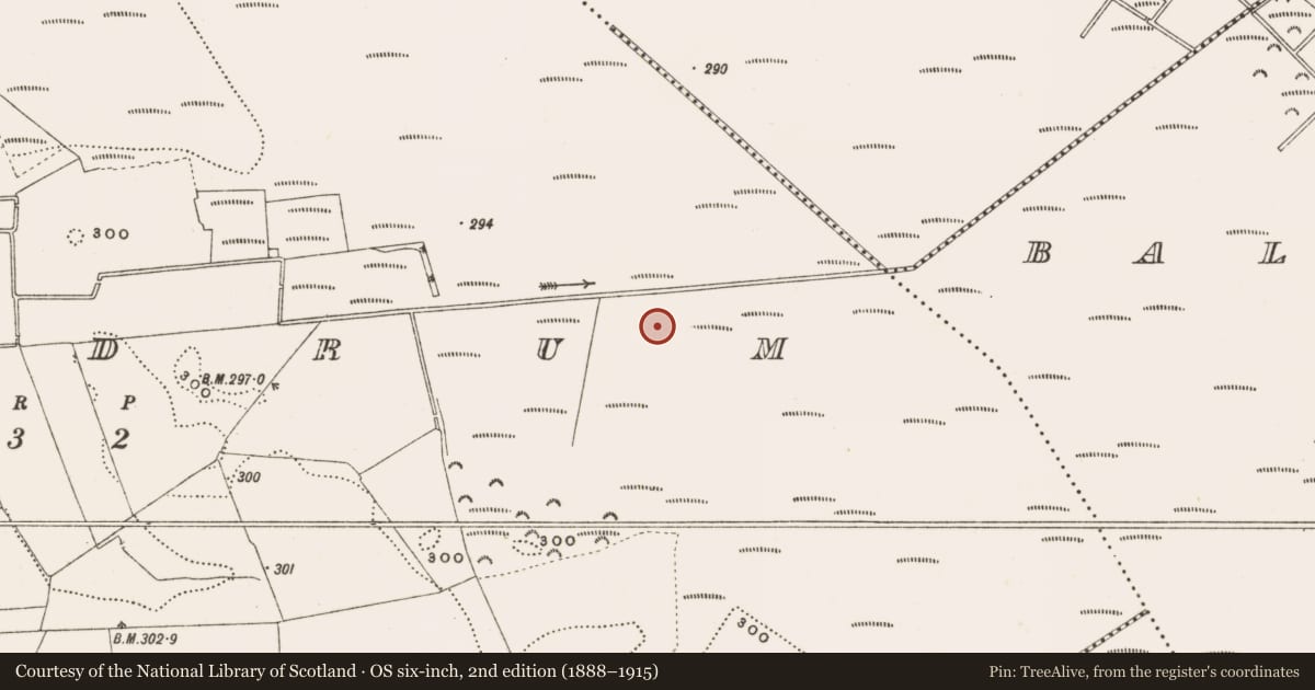 Ordnance Survey six-inch map, 2nd edition (1888–1915) covering the location of Structure - peatland, Rathdrum, County Offaly, with a pin at the register's coordinates