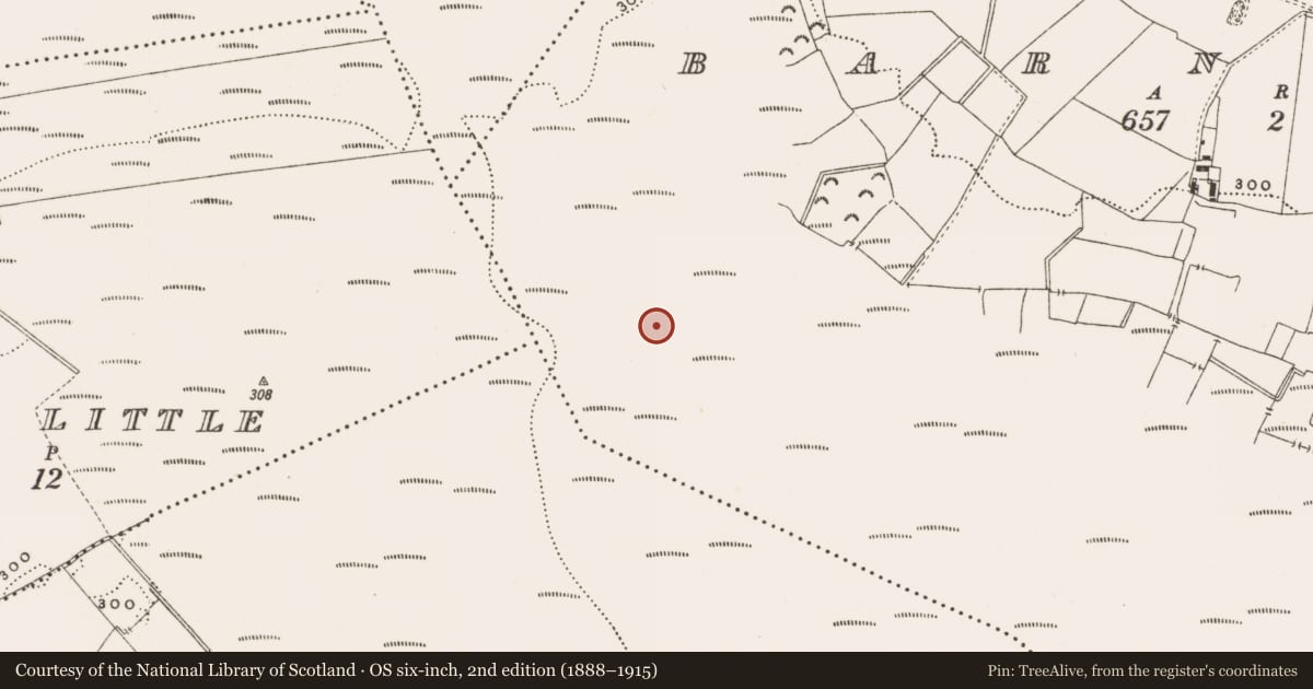 Ordnance Survey six-inch map, 2nd edition (1888–1915) covering the location of Platform - peatland, Barnaboy, County Offaly, with a pin at the register's coordinates
