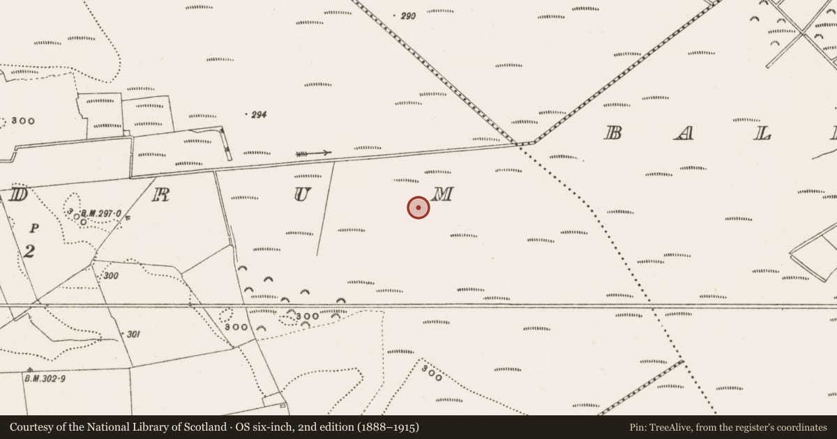 Ordnance Survey six-inch map, 2nd edition (1888–1915) covering the location of Structure - peatland, Rathdrum, County Offaly, with a pin at the register's coordinates