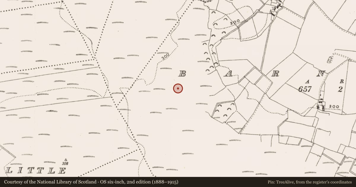 Ordnance Survey six-inch map, 2nd edition (1888–1915) covering the location of Road - class 3 togher, Barnaboy, County Offaly, with a pin at the register's coordinates