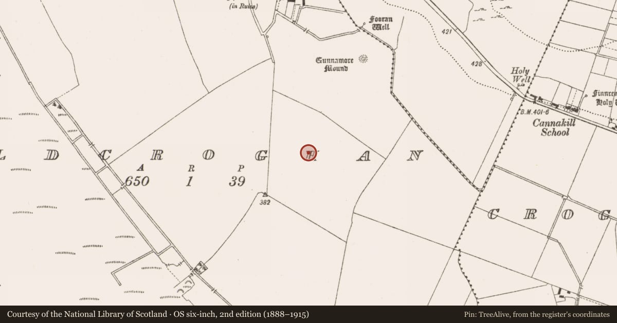 Ordnance Survey six-inch map, 2nd edition (1888–1915) covering the location of Ring-ditch, Oldcroghan, County Offaly, with a pin at the register's coordinates