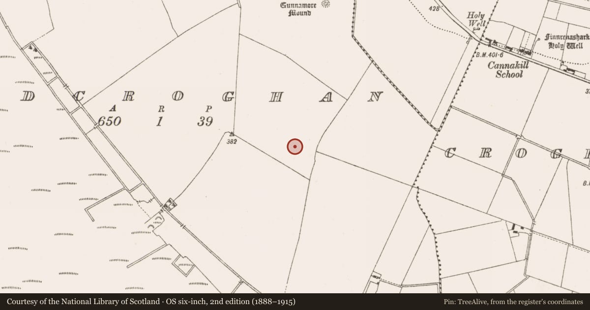 Ordnance Survey six-inch map, 2nd edition (1888–1915) covering the location of Enclosure, Oldcroghan, County Offaly, with a pin at the register's coordinates