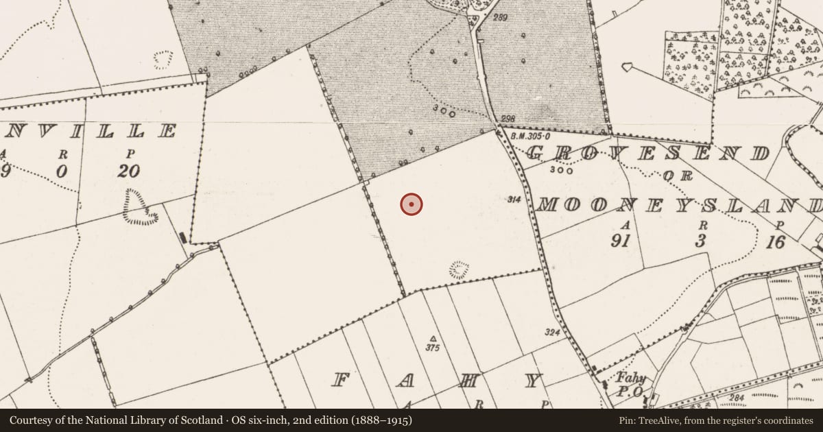 Ordnance Survey six-inch map, 2nd edition (1888–1915) covering the location of Standing stone, Ballyburly, County Offaly, with a pin at the register's coordinates