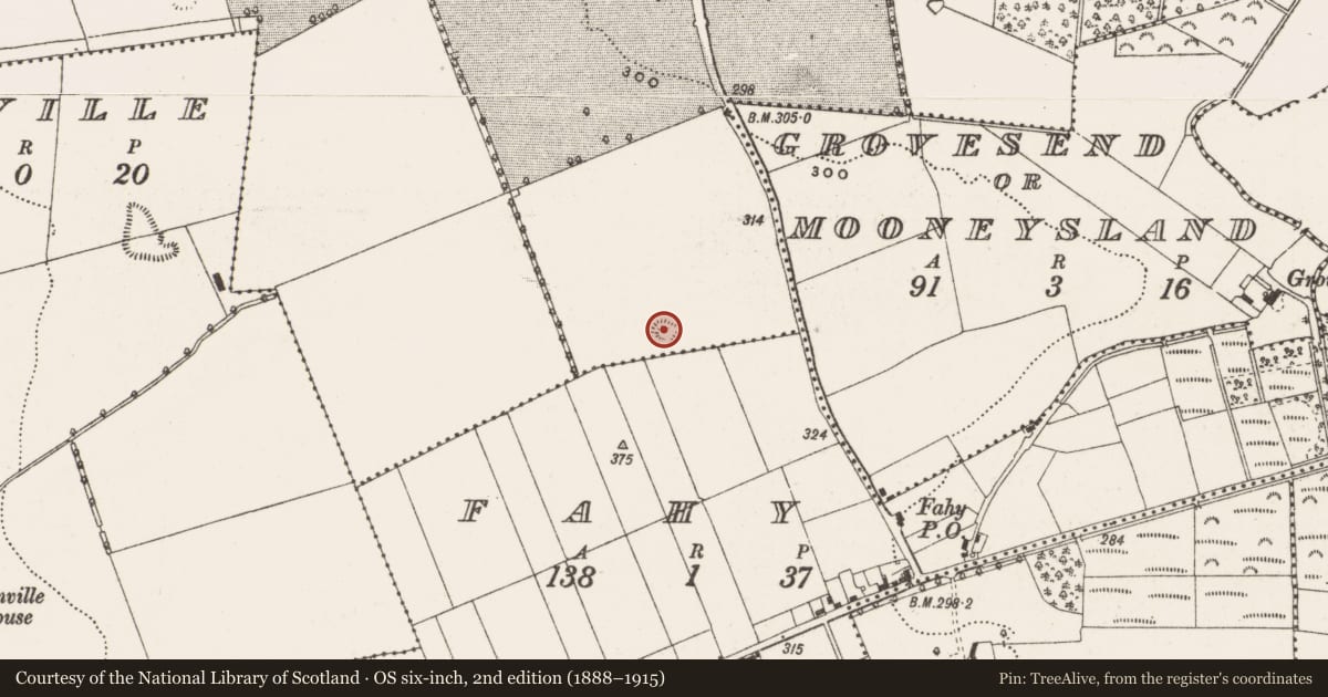 Ordnance Survey six-inch map, 2nd edition (1888–1915) covering the location of Mound, Ballyburly, County Offaly, with a pin at the register's coordinates