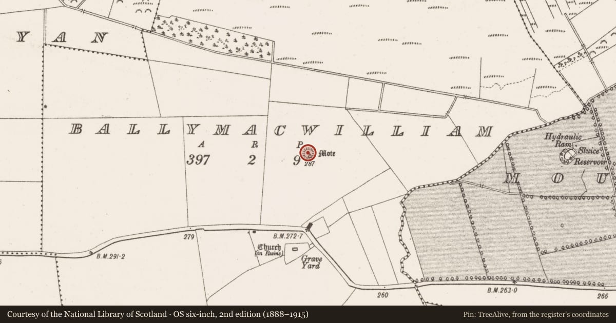 Ordnance Survey six-inch map, 2nd edition (1888–1915) covering the location of Mound, Ballymacwilliam, County Offaly, with a pin at the register's coordinates