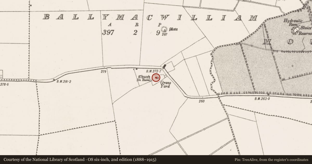 Ordnance Survey six-inch map, 2nd edition (1888–1915) covering the location of Graveslab, Ballymacwilliam, County Offaly, with a pin at the register's coordinates