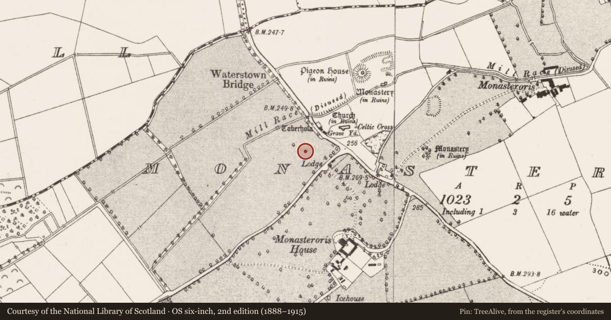 Ordnance Survey six-inch map, 2nd edition (1888–1915) covering the location of Settlement deserted - medieval, Monasteroris, County Offaly, with a pin at the register's coordinates