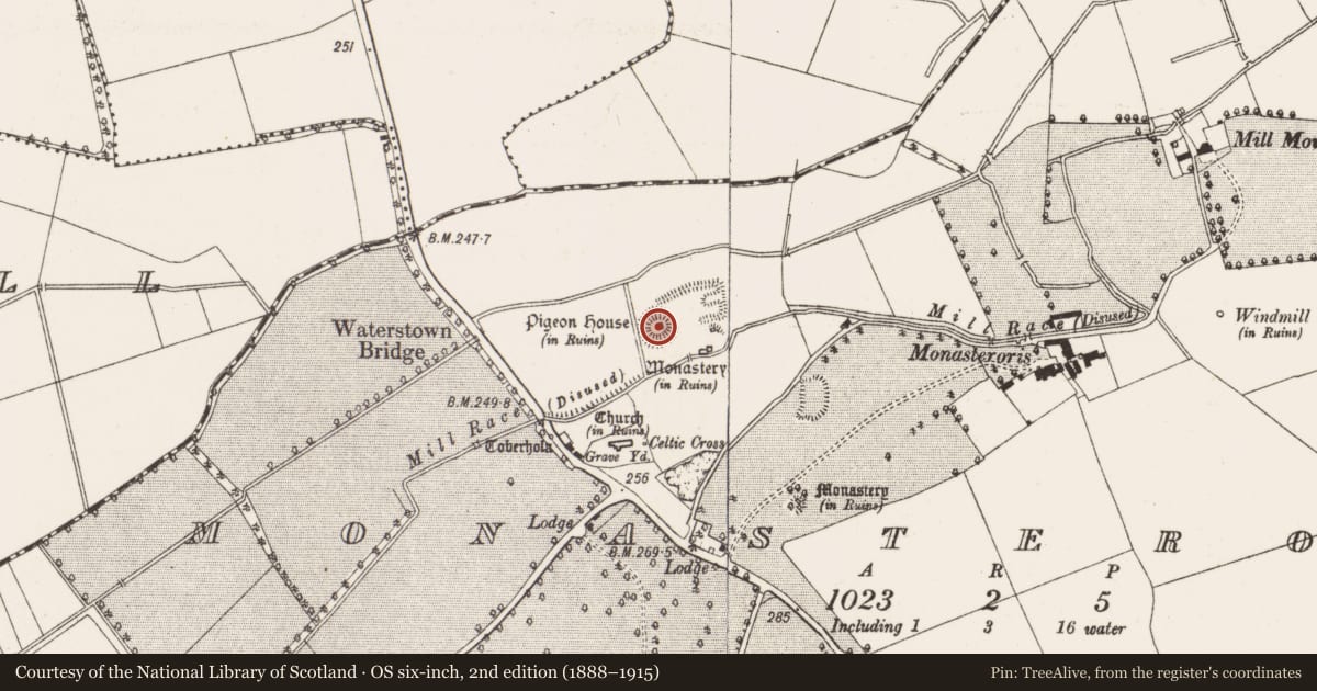 Ordnance Survey six-inch map, 2nd edition (1888–1915) covering the location of Castle - motte, Monasteroris, County Offaly, with a pin at the register's coordinates