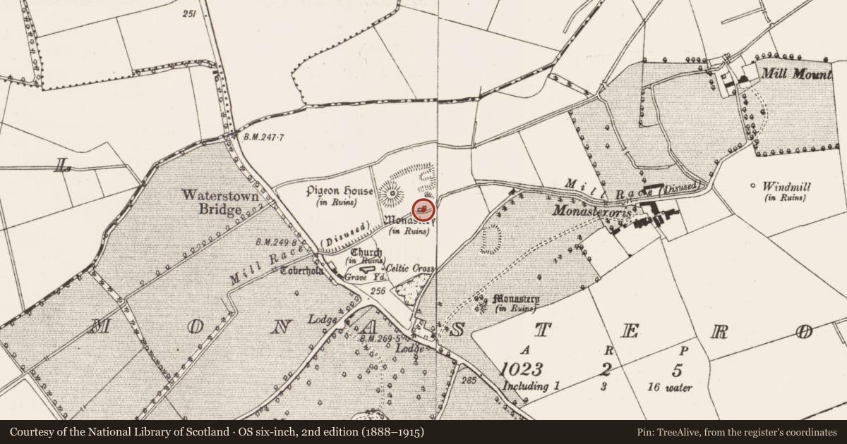 Ordnance Survey six-inch map, 2nd edition (1888–1915) covering the location of Castle - unclassified, Monasteroris, County Offaly, with a pin at the register's coordinates