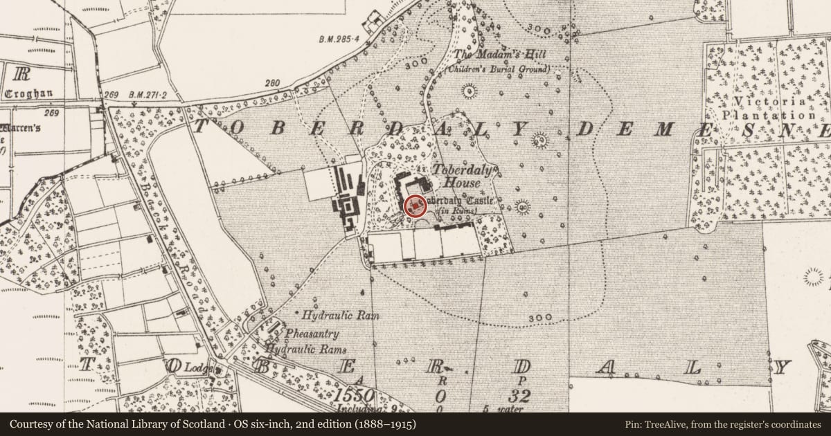 Ordnance Survey six-inch map, 2nd edition (1888–1915) covering the location of Castle - tower house, Toberdaly, County Offaly, with a pin at the register's coordinates