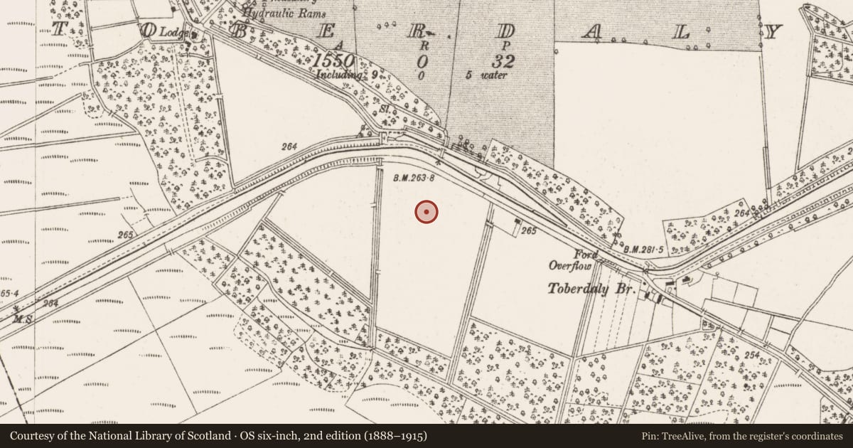 Ordnance Survey six-inch map, 2nd edition (1888–1915) covering the location of Enclosure, Toberdaly, County Offaly, with a pin at the register's coordinates