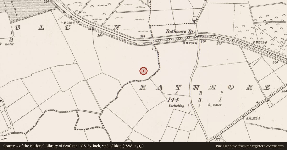 Ordnance Survey six-inch map, 2nd edition (1888–1915) covering the location of Enclosure, Ballycolgan, County Offaly, with a pin at the register's coordinates
