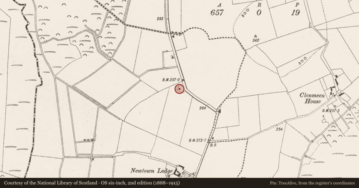 Ordnance Survey six-inch map, 2nd edition (1888–1915) covering the location of Enclosure, Newtown, County Offaly, with a pin at the register's coordinates