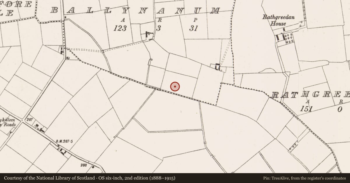 Ordnance Survey six-inch map, 2nd edition (1888–1915) covering the location of Enclosure, Ballynanum, County Offaly, with a pin at the register's coordinates