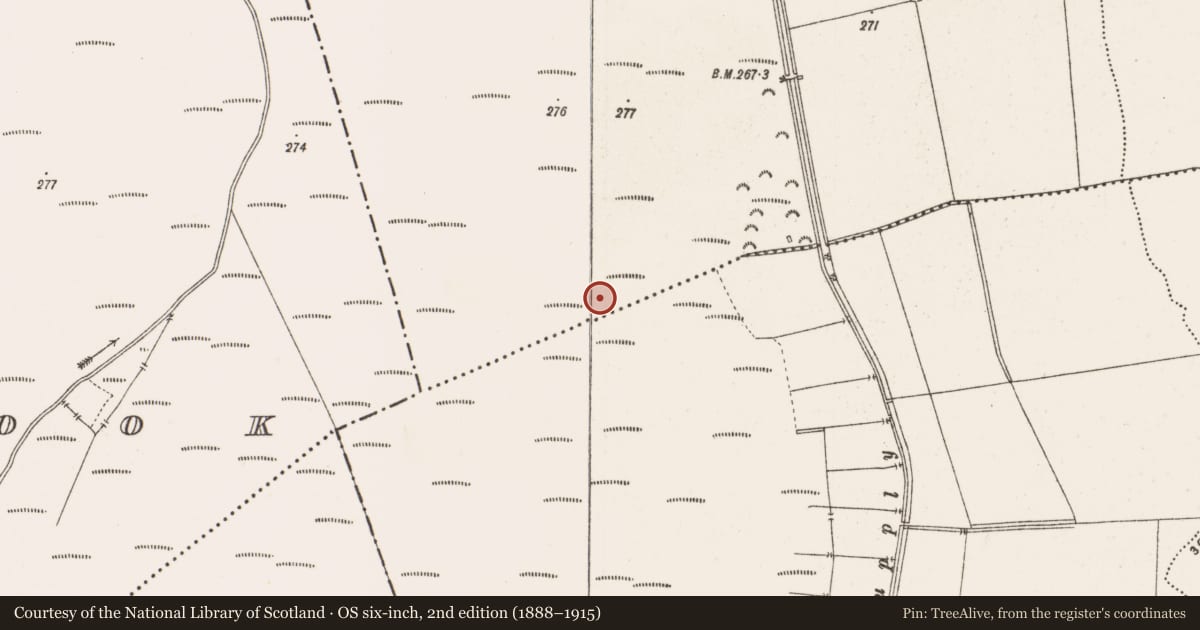 Ordnance Survey six-inch map, 2nd edition (1888–1915) covering the location of Habitation site, Toberdaly, Clonin, County Offaly, with a pin at the register's coordinates