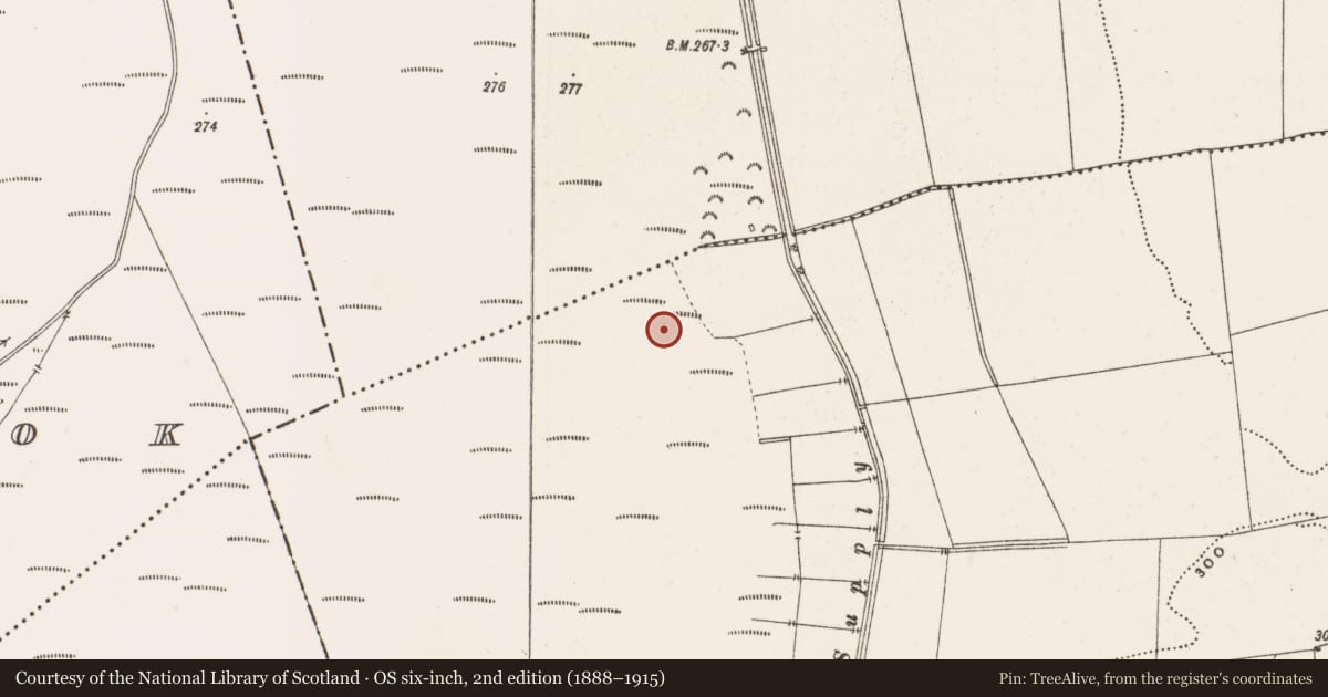 Ordnance Survey six-inch map, 2nd edition (1888–1915) covering the location of Road - class 3 togher, Toberdaly, County Offaly, with a pin at the register's coordinates