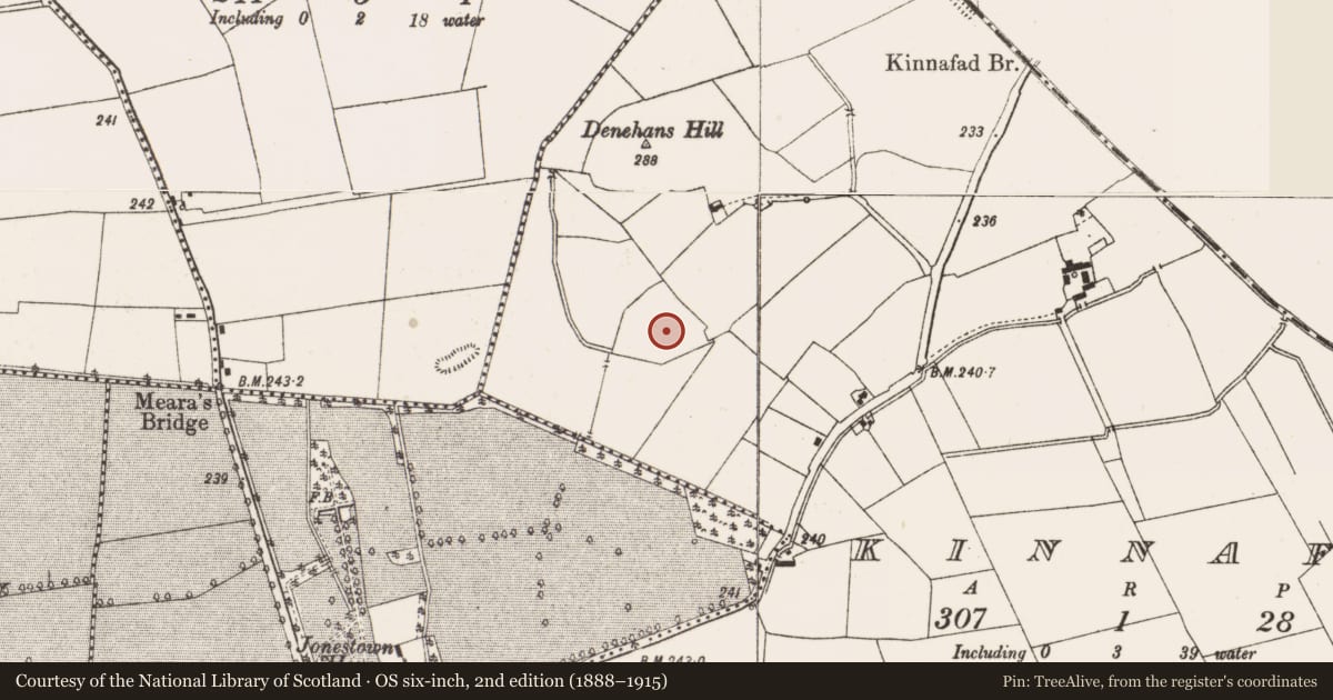 Ordnance Survey six-inch map, 2nd edition (1888–1915) covering the location of Earthwork, Kinnafad, County Offaly, with a pin at the register's coordinates