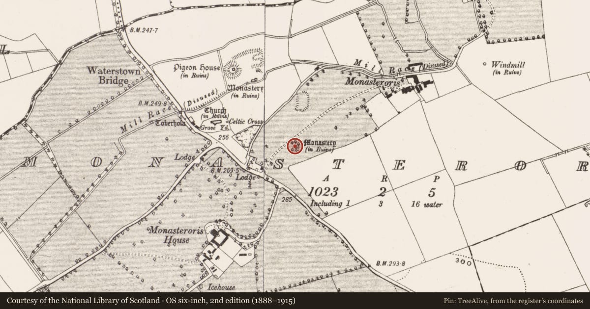 Ordnance Survey six-inch map, 2nd edition (1888–1915) covering the location of Castle - unclassified, Monasteroris, County Offaly, with a pin at the register's coordinates
