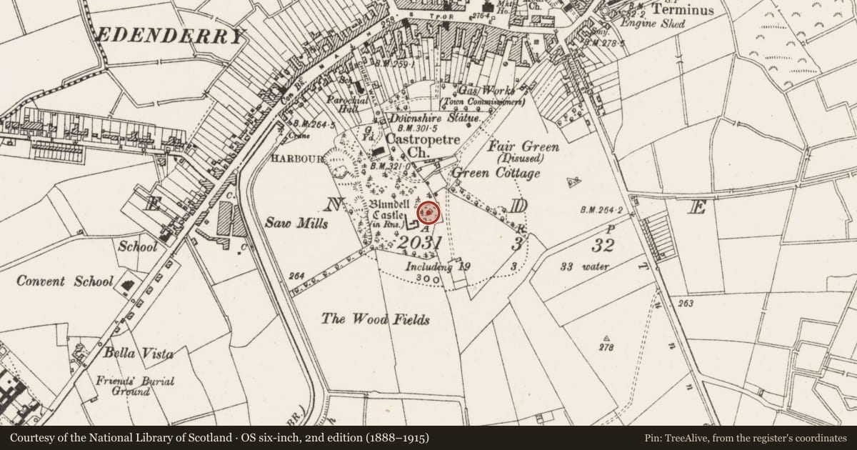 Ordnance Survey six-inch map, 2nd edition (1888–1915) covering the location of Mine, Edenderry, County Offaly, with a pin at the register's coordinates