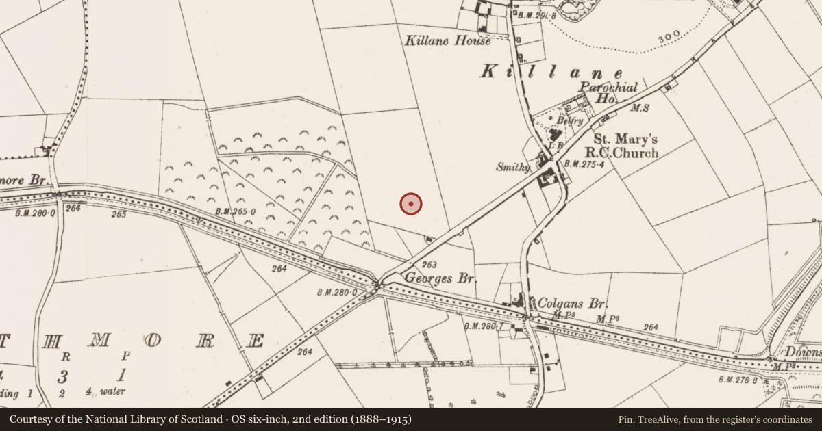 Ordnance Survey six-inch map, 2nd edition (1888–1915) covering the location of Enclosure, Edenderry, County Offaly, with a pin at the register's coordinates