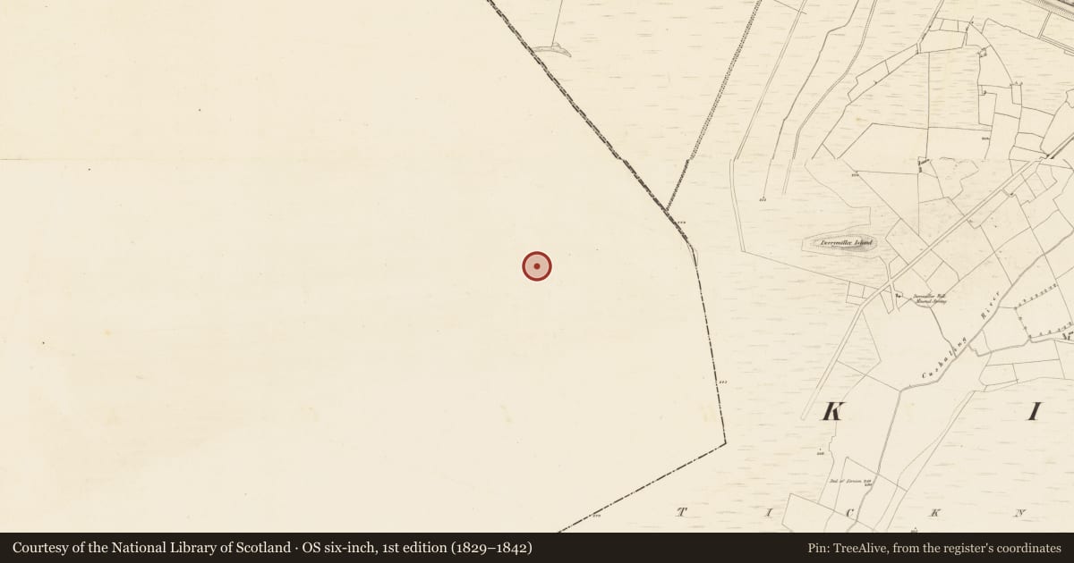 Ordnance Survey six-inch map, 1st edition (1829–1842) covering the location of Enclosure, Derries, County Offaly, with a pin at the register's coordinates