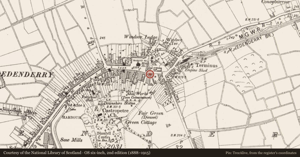 Ordnance Survey six-inch map, 2nd edition (1888–1915) covering the location of Sheela-na-gig (present location), Edenderry, County Offaly, with a pin at the register's coordinates