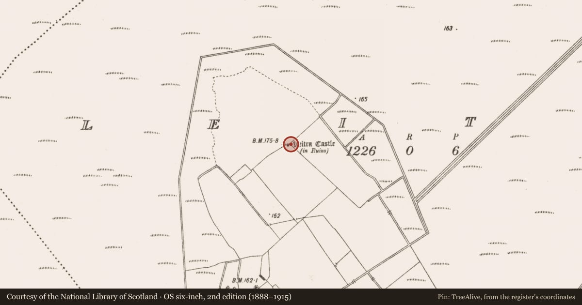 Ordnance Survey six-inch map, 2nd edition (1888–1915) covering the location of Castle - unclassified, Leitra, County Offaly, with a pin at the register's coordinates