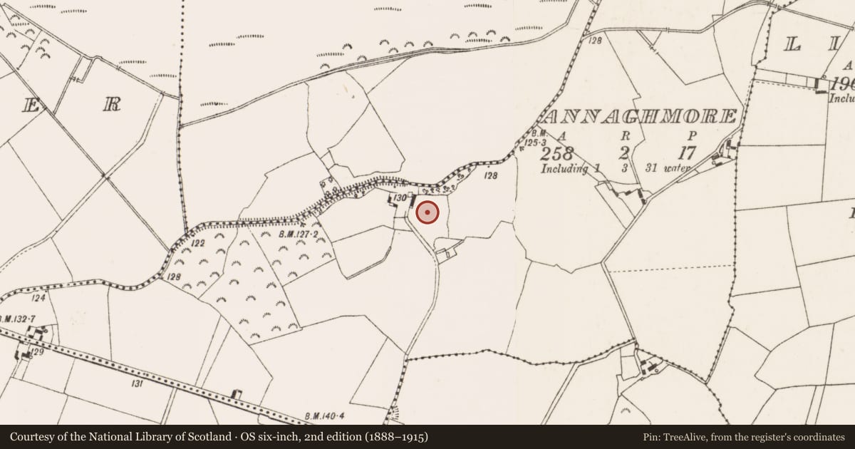 Ordnance Survey six-inch map, 2nd edition (1888–1915) covering the location of Enclosure, Annaghmore, County Offaly, with a pin at the register's coordinates