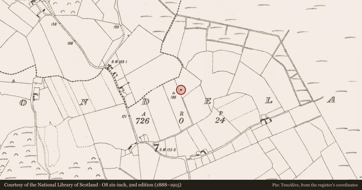 Ordnance Survey six-inch map, 2nd edition (1888–1915) covering the location of Ringfort - unclassified, Clondelara, County Offaly, with a pin at the register's coordinates