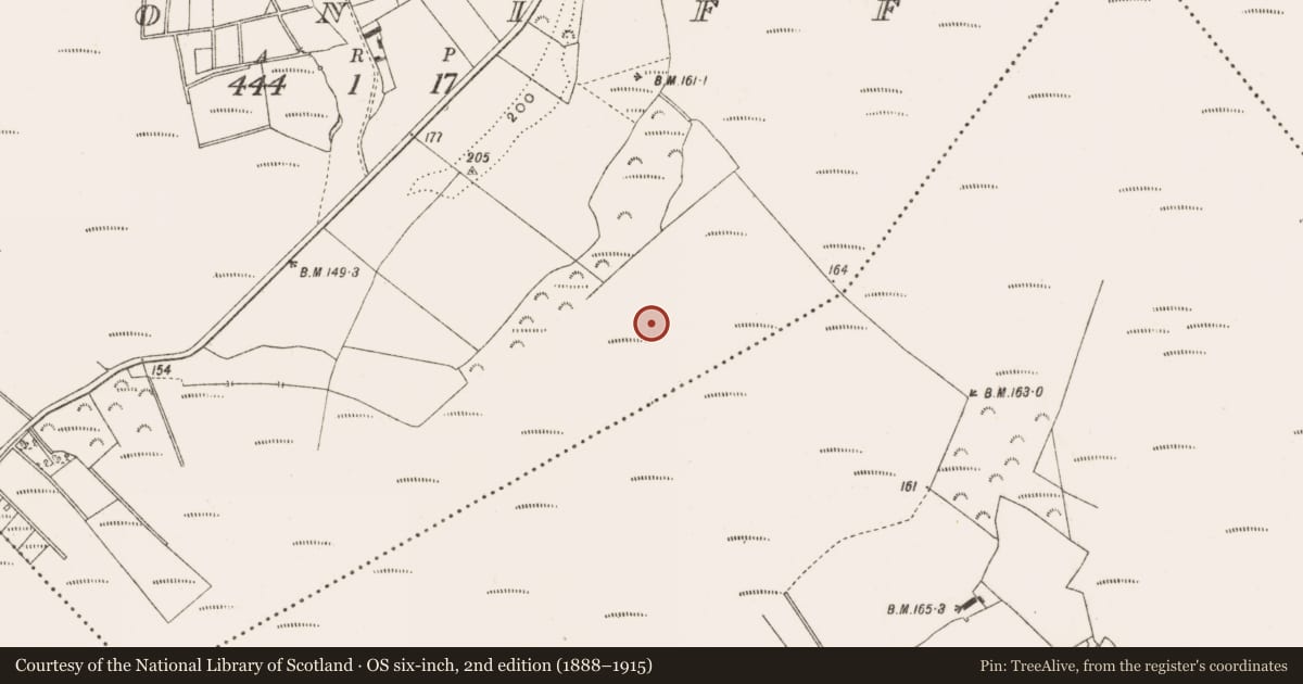 Ordnance Survey six-inch map, 2nd edition (1888–1915) covering the location of Road - class 3 togher, Cloniff, County Offaly, with a pin at the register's coordinates