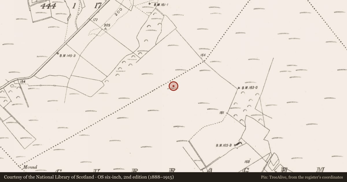 Ordnance Survey six-inch map, 2nd edition (1888–1915) covering the location of Road - class 1 togher, Cloniff, Curraghmore, County Offaly, with a pin at the register's coordinates