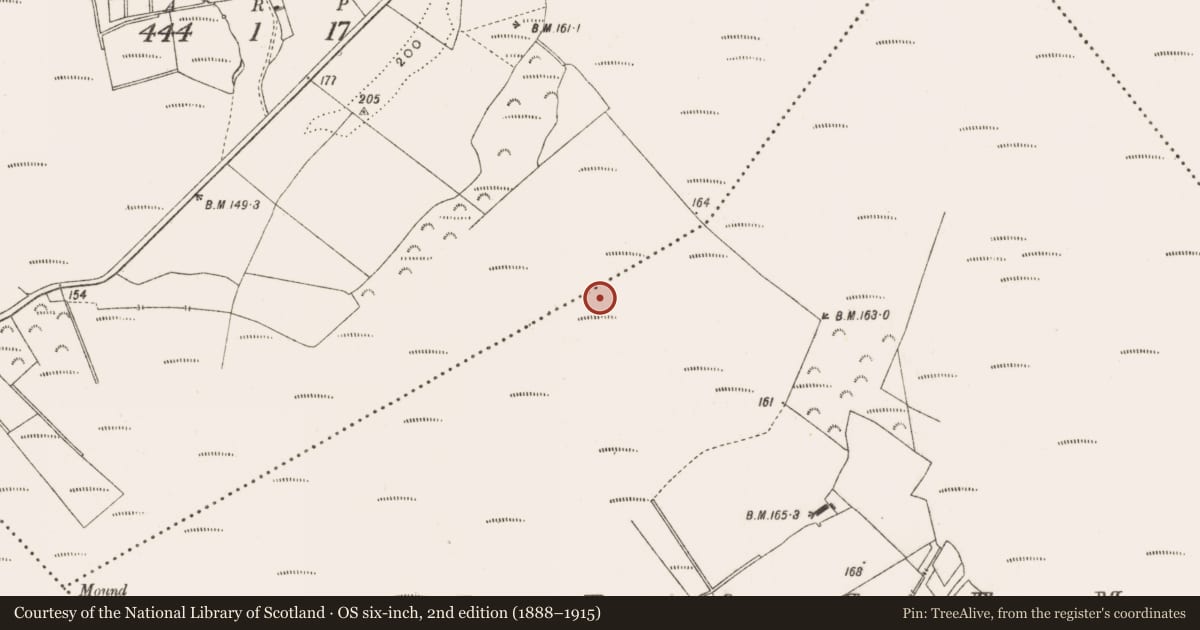 Ordnance Survey six-inch map, 2nd edition (1888–1915) covering the location of Road - class 3 togher, Curraghmore, County Offaly, with a pin at the register's coordinates