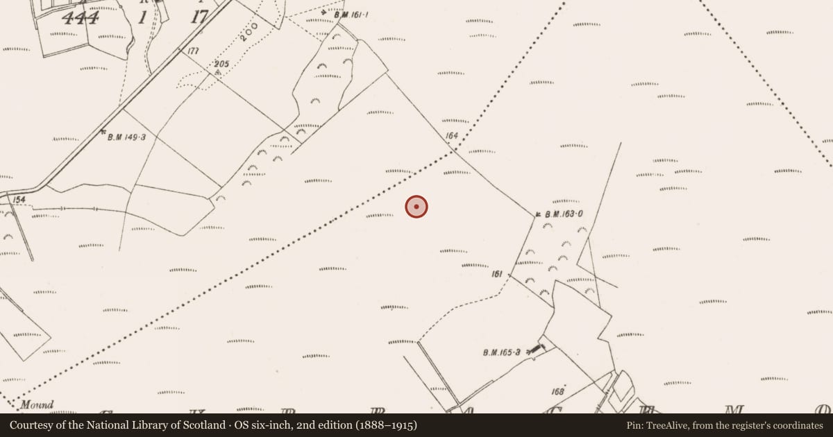 Ordnance Survey six-inch map, 2nd edition (1888–1915) covering the location of Road - class 2 togher, Curraghmore, County Offaly, with a pin at the register's coordinates