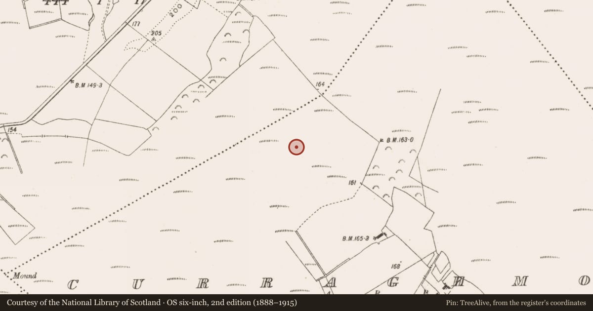Ordnance Survey six-inch map, 2nd edition (1888–1915) covering the location of Road - class 2 togher, Curraghmore, County Offaly, with a pin at the register's coordinates