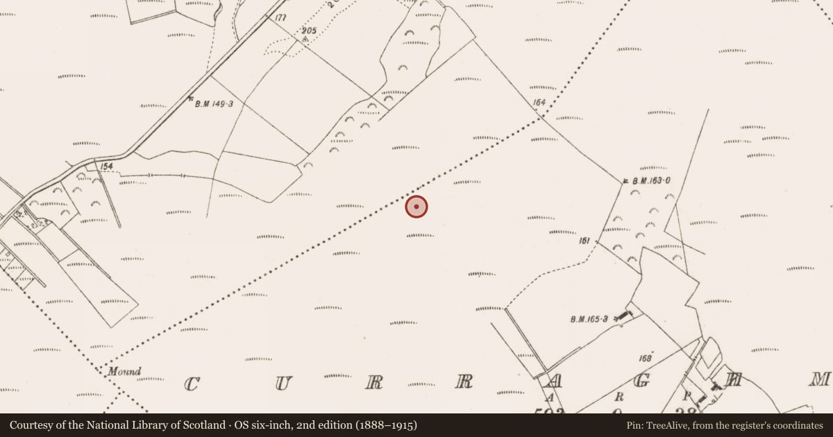 Ordnance Survey six-inch map, 2nd edition (1888–1915) covering the location of Road - class 3 togher, Curraghmore, County Offaly, with a pin at the register's coordinates