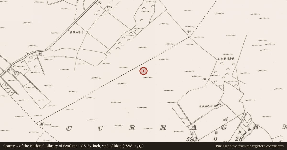 Ordnance Survey six-inch map, 2nd edition (1888–1915) covering the location of Road - class 3 togher, Curraghmore, County Offaly, with a pin at the register's coordinates
