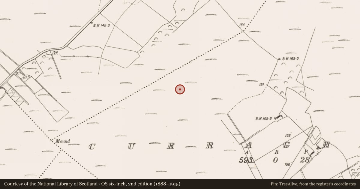 Ordnance Survey six-inch map, 2nd edition (1888–1915) covering the location of Road - class 2 togher, Curraghmore, County Offaly, with a pin at the register's coordinates