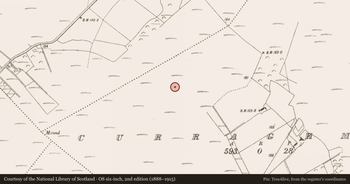Ordnance Survey six-inch map, 2nd edition (1888–1915) covering the location of Road - class 2 togher, Curraghmore, County Offaly, with a pin at the register's coordinates