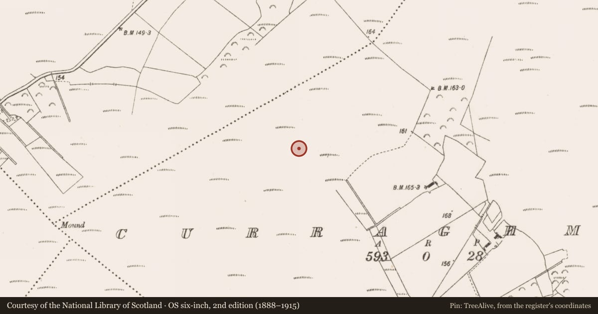 Ordnance Survey six-inch map, 2nd edition (1888–1915) covering the location of Road - class 3 togher, Curraghmore, County Offaly, with a pin at the register's coordinates