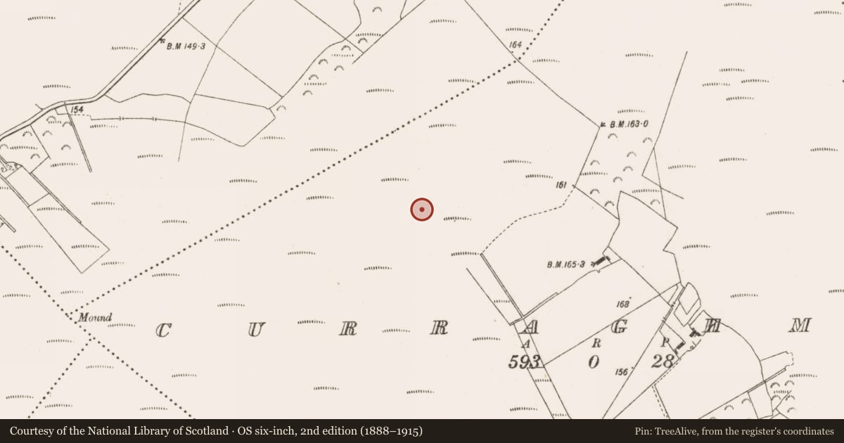 Ordnance Survey six-inch map, 2nd edition (1888–1915) covering the location of Road - class 3 togher, Curraghmore, County Offaly, with a pin at the register's coordinates