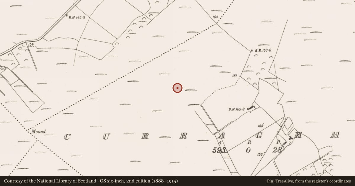 Ordnance Survey six-inch map, 2nd edition (1888–1915) covering the location of Road - class 3 togher, Curraghmore, County Offaly, with a pin at the register's coordinates