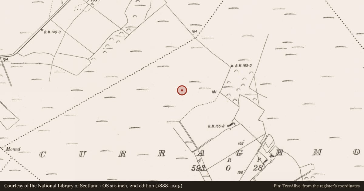 Ordnance Survey six-inch map, 2nd edition (1888–1915) covering the location of Road - class 3 togher, Curraghmore, County Offaly, with a pin at the register's coordinates