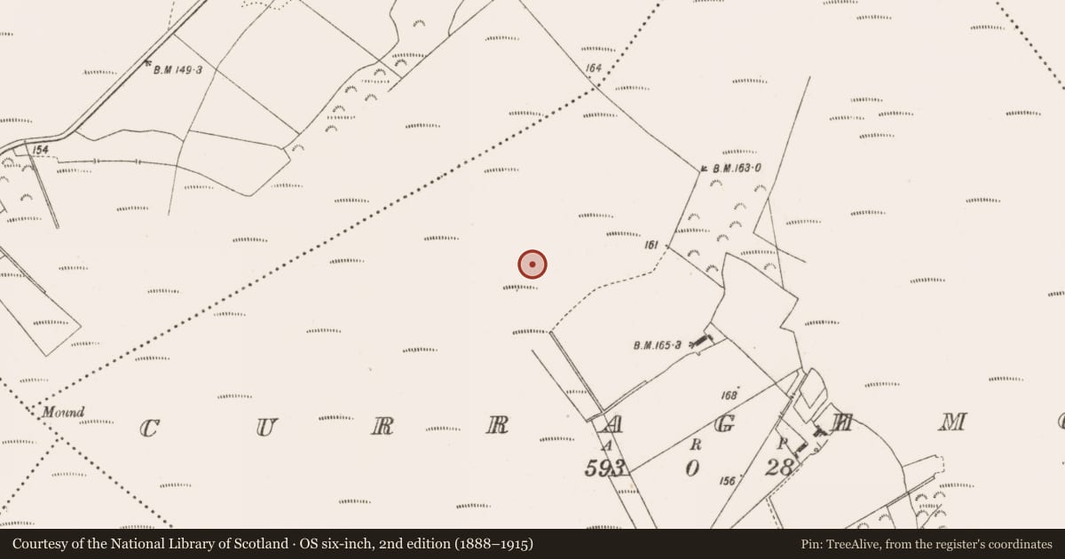 Ordnance Survey six-inch map, 2nd edition (1888–1915) covering the location of Road - class 2 togher, Curraghmore, County Offaly, with a pin at the register's coordinates